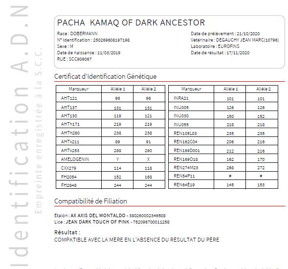 Publication : of Dark Ancestor  