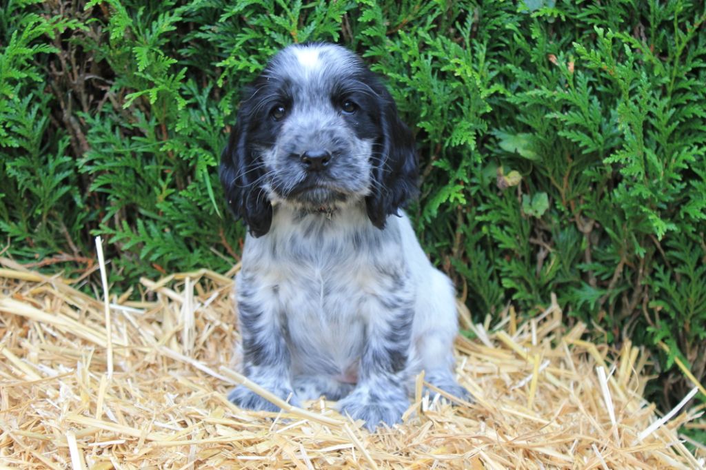 Rafy du domaine d'hakyna