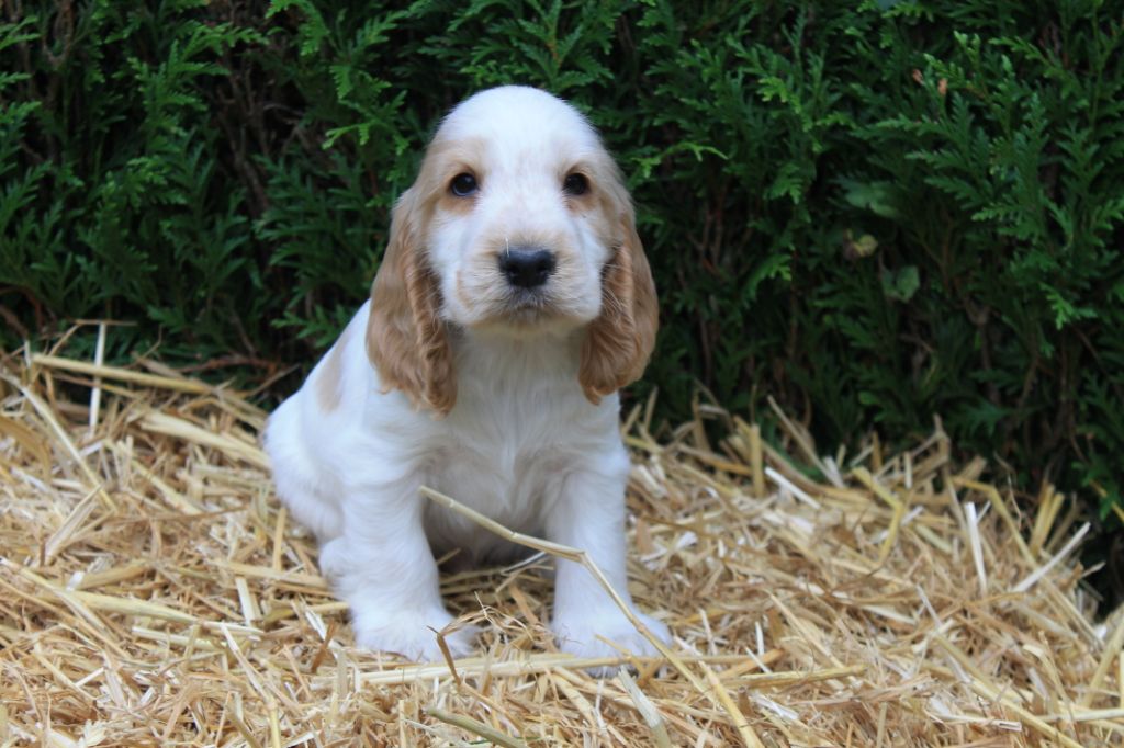 R....... du domaine d'hakyna