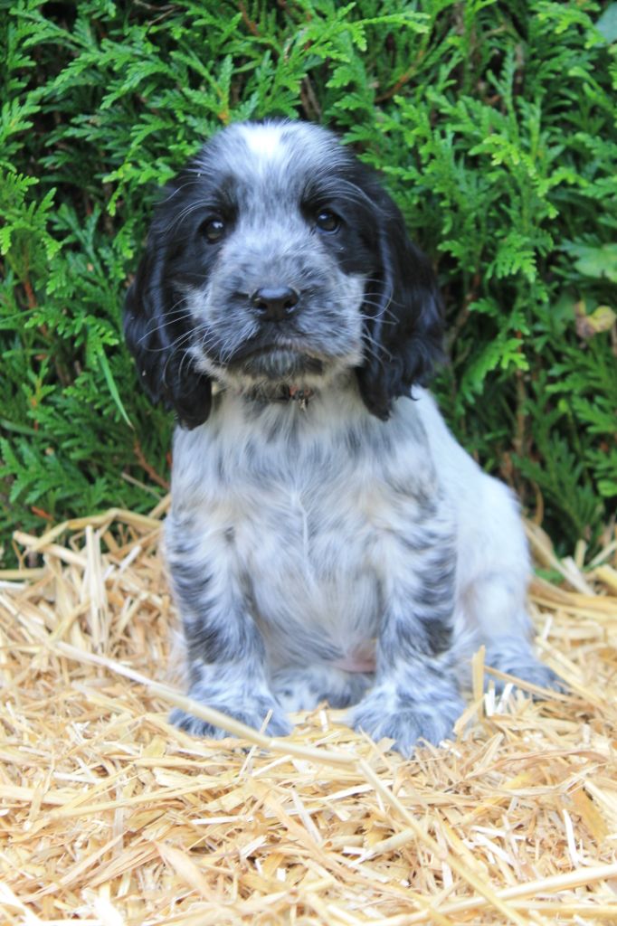 Rafy du domaine d'hakyna