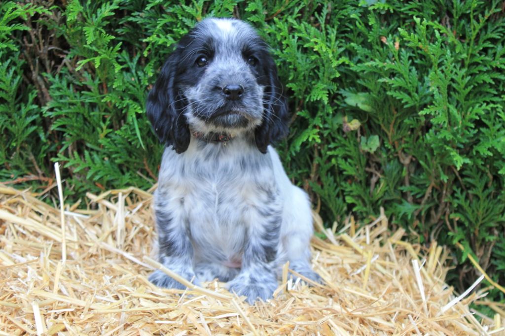 Rafy du domaine d'hakyna