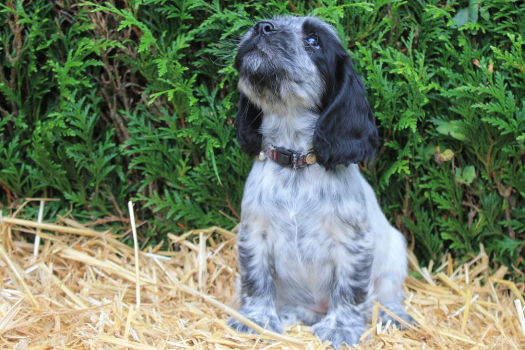 Rafy du domaine d'hakyna