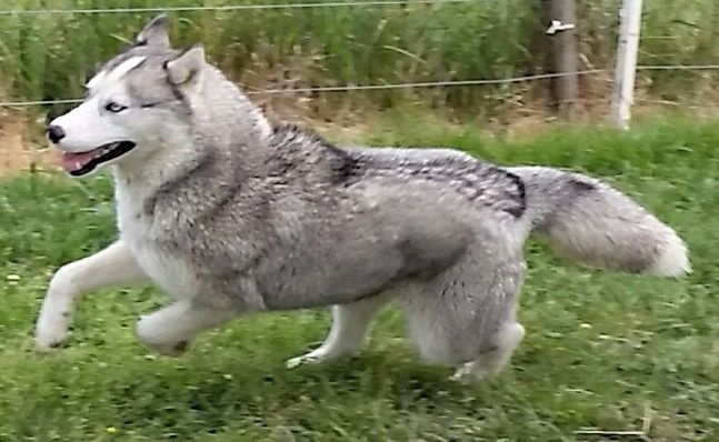 Publication : of Kileut'spirit