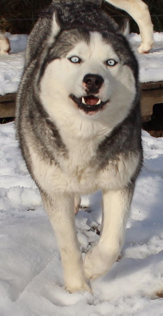 Publication : of Kileut'spirit