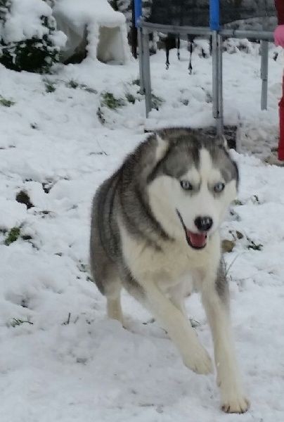 Publication : of Kileut'spirit