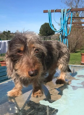 Toblerone Du logis de beaumanoir