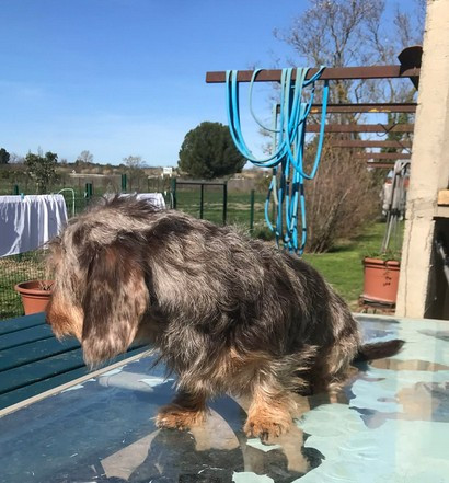 Toblerone Du logis de beaumanoir