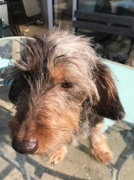 Toblerone Du logis de beaumanoir