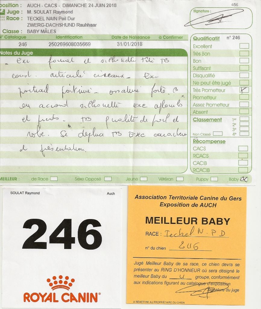 Oh lost winner de terre drue de guenreff - Très prometteur (Baby)