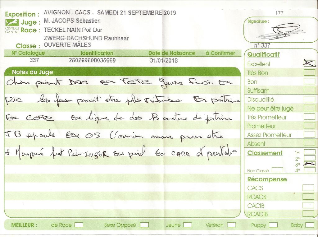 Oh lost winner de terre drue de guenreff - Excellent 3ème