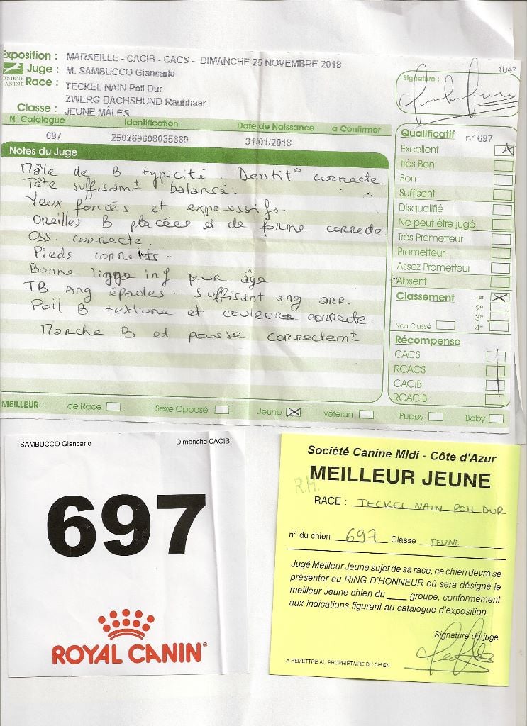 Oh lost winner de terre drue de guenreff - Meilleur Jeune - Excellent - 1er