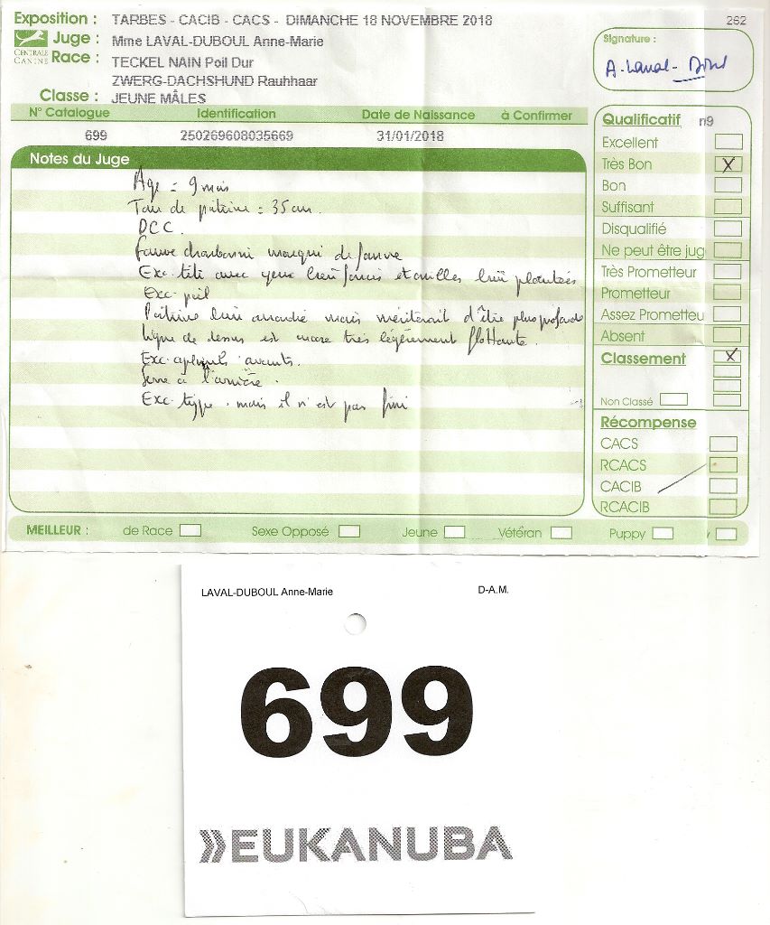 Oh lost winner de terre drue de guenreff - 1er Très Bon