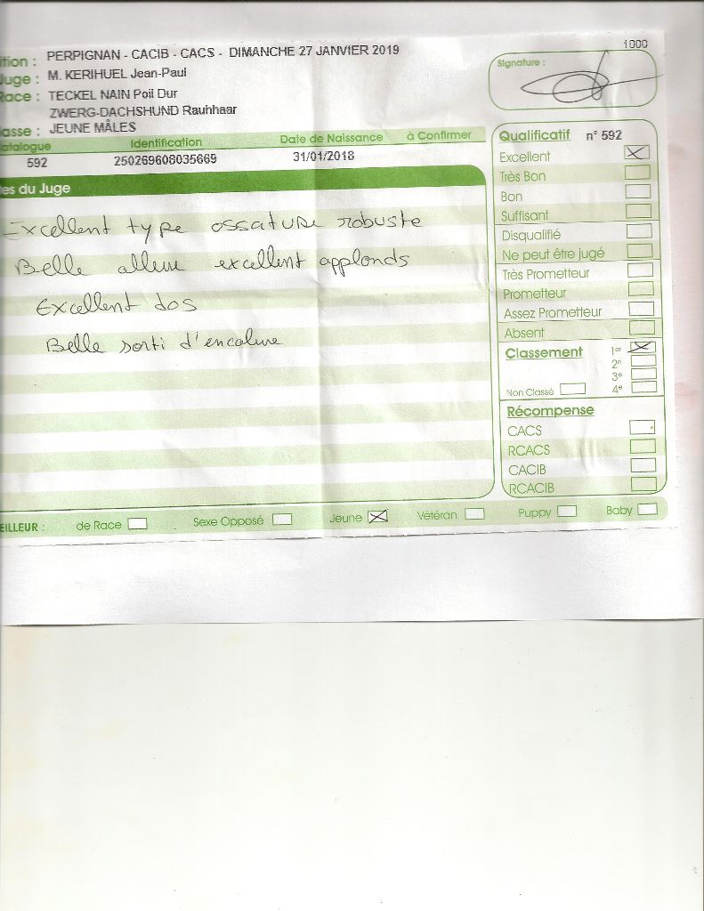 Oh lost winner de terre drue de guenreff - Meilleur Jeune 1er Excellent