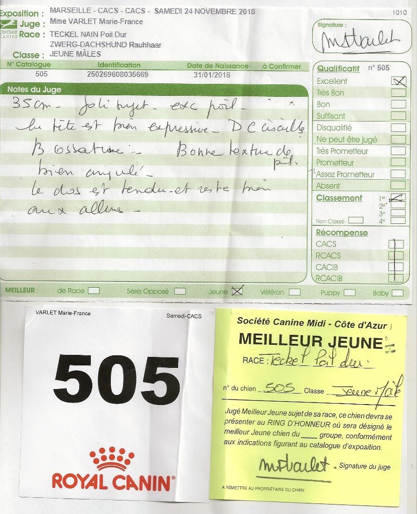 Oh lost winner de terre drue de guenreff - Meilleur Jeune - Excellent - 1er