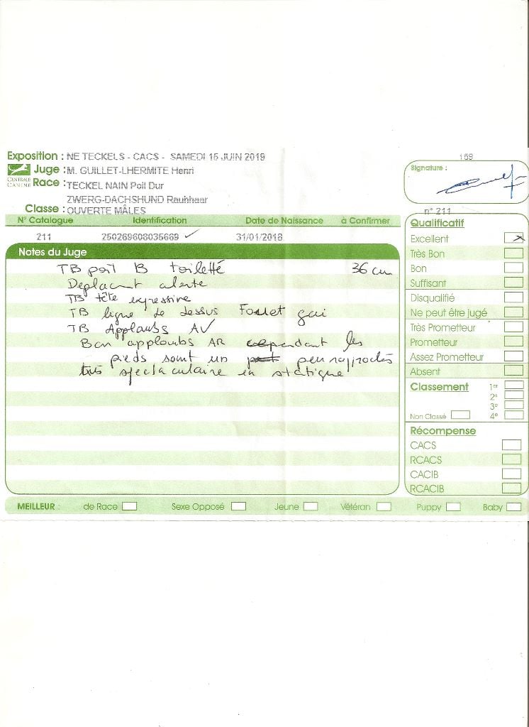 Oh lost winner de terre drue de guenreff - Excellent