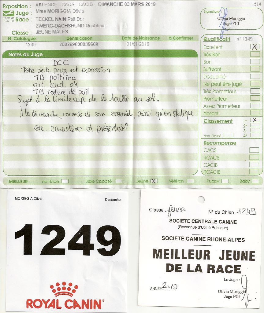 Oh lost winner de terre drue de guenreff - Meilleur Jeune 1er Excellent