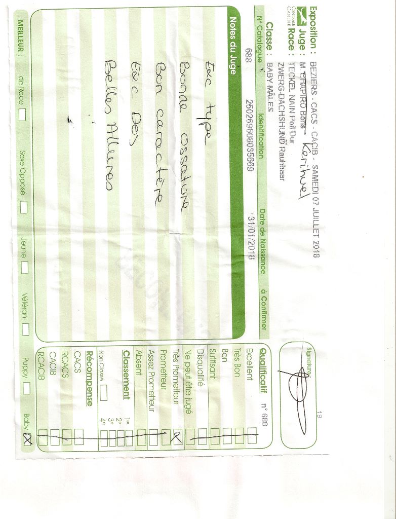 Oh lost winner de terre drue de guenreff - Très prometteur (Baby)