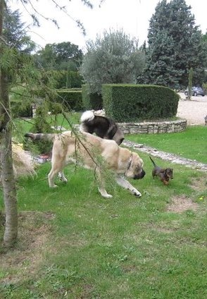 Publication : Du Haut Du Bois De La Garde