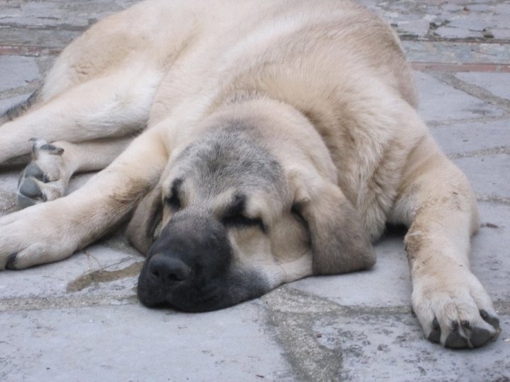 Publication : Du Haut Du Bois De La Garde