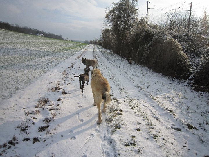 Publication : Du Haut Du Bois De La Garde
