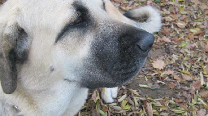 Publication : Du Haut Du Bois De La Garde