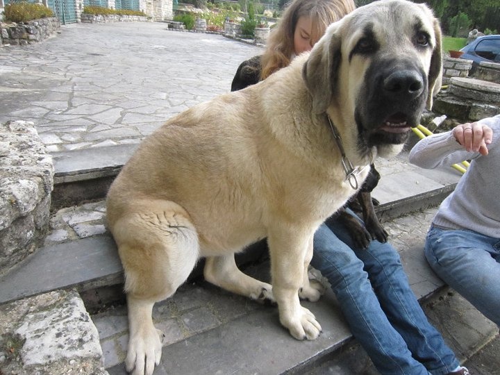 Publication : Du Haut Du Bois De La Garde