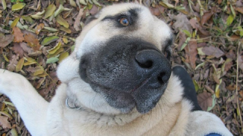 Publication : Du Haut Du Bois De La Garde