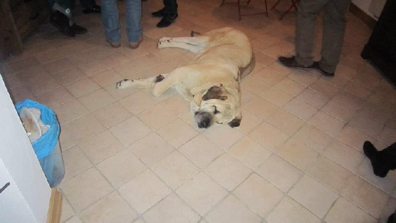 Publication : Du Haut Du Bois De La Garde