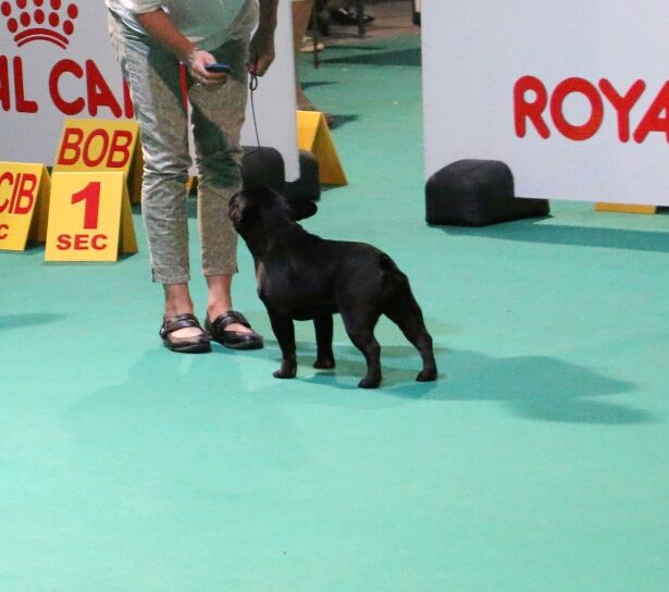 Heaven Sparks Pénélope - 2 ème très prometteur