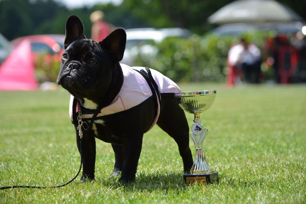 Heaven Sparks Pénélope - 3 ème très prometteur