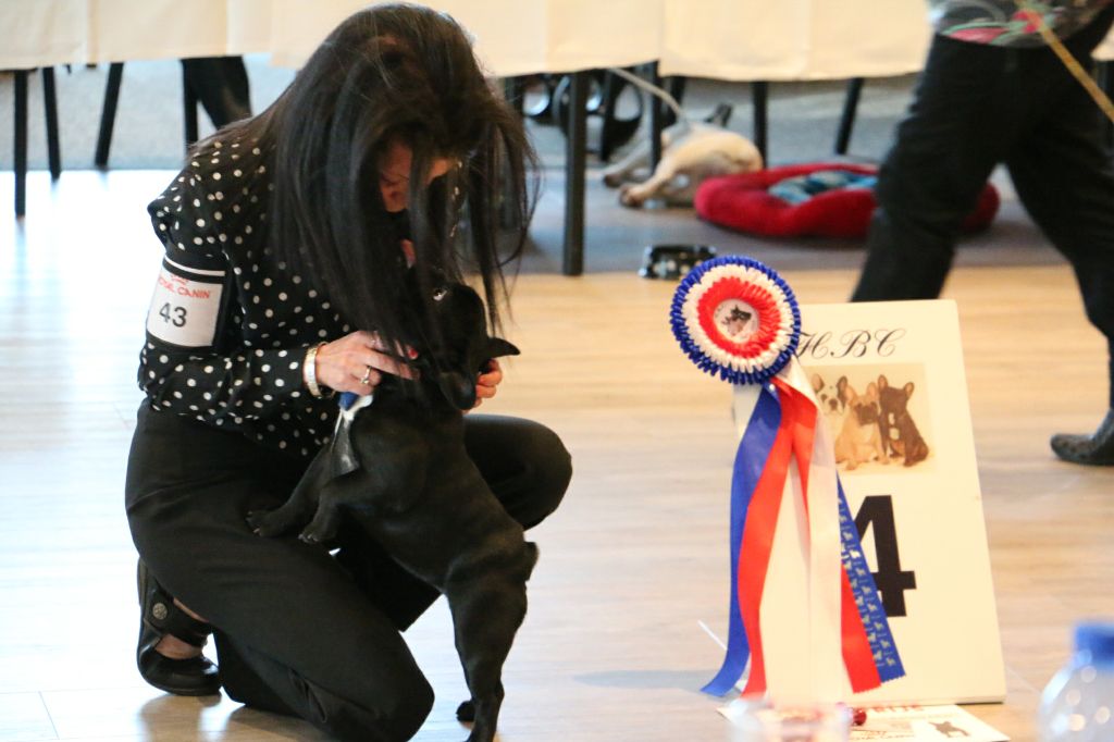 Heaven Sparks Pénélope - 4 ème très prometteur