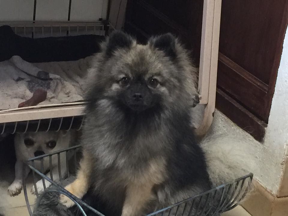 Jalucine De La Vallee Des Gris Doubs