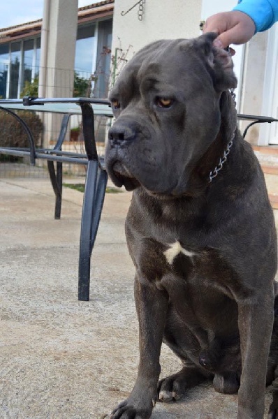 Publication : Au Royaume De Delio