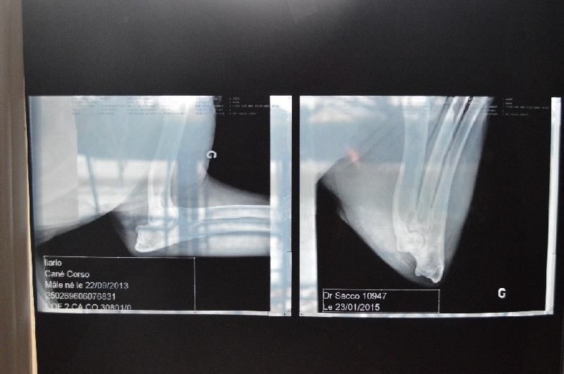 Publication : Au Royaume De Delio