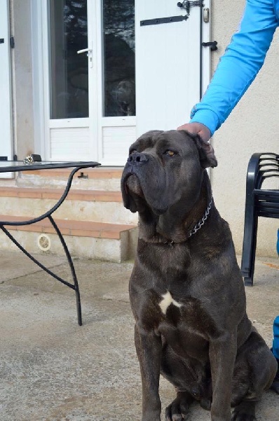 Publication : Au Royaume De Delio