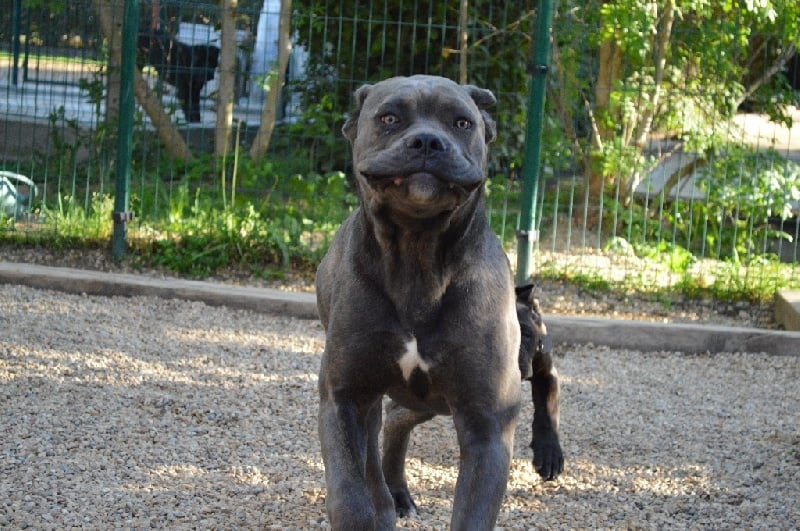 Publication : Au Royaume De Delio