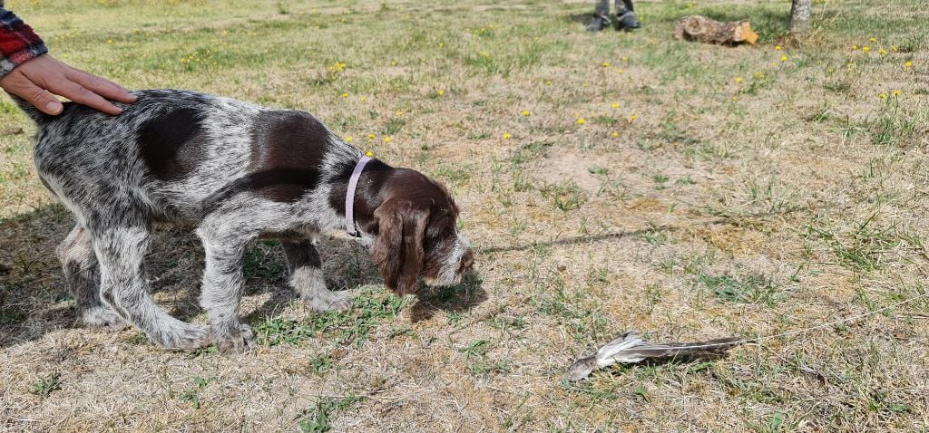 Publication : Du Domaine De Bussy Auteur : MAGALI BRIDET