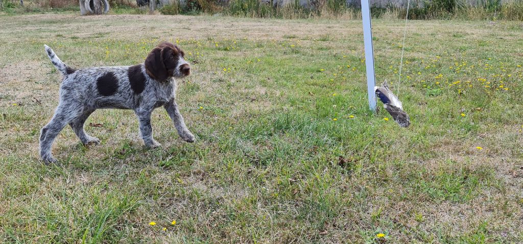 Publication : Du Domaine De Bussy Auteur : MAGALI BRIDET