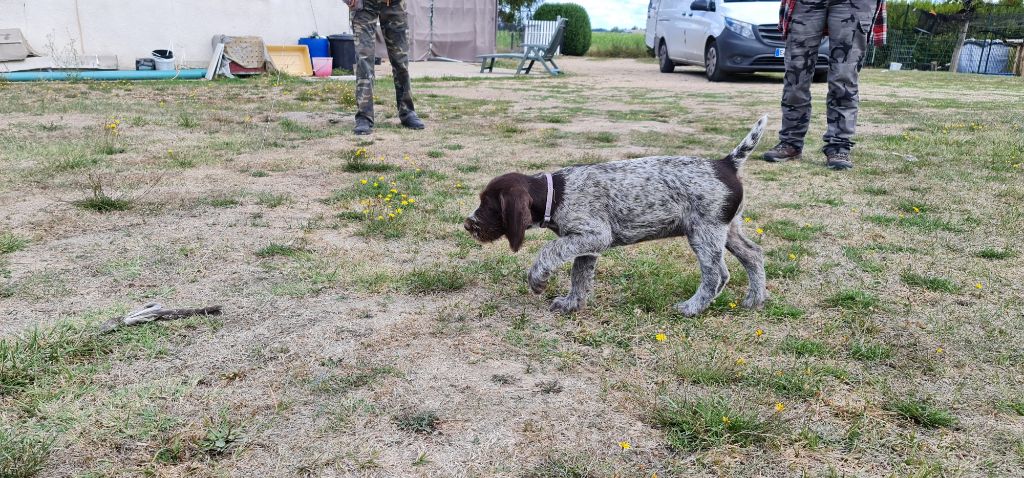 Publication : Du Domaine De Bussy Auteur : MAGALI BRIDET