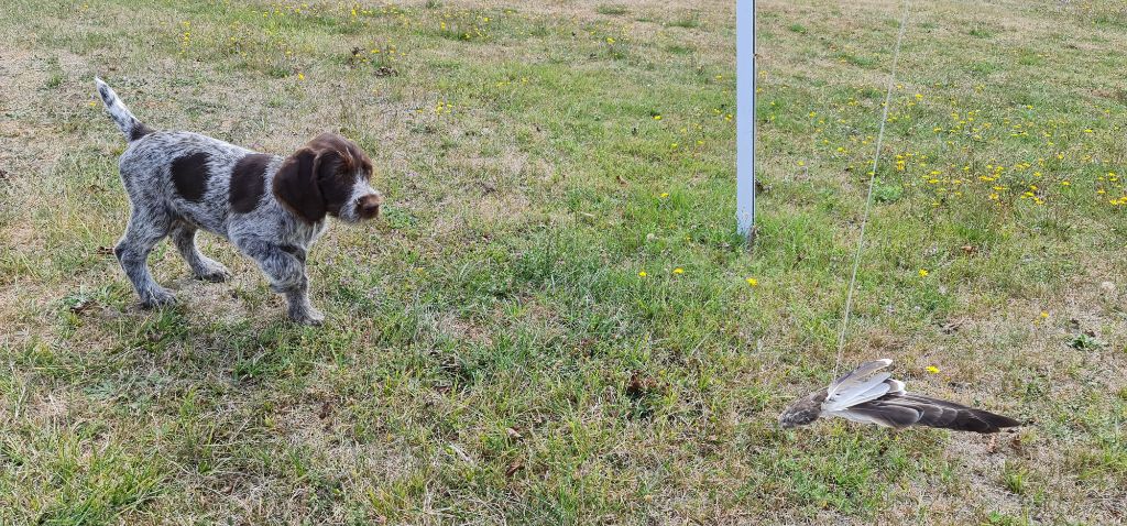 Publication : Du Domaine De Bussy Auteur : MAGALI BRIDET