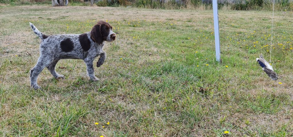 Publication : Du Domaine De Bussy Auteur : MAGALI BRIDET