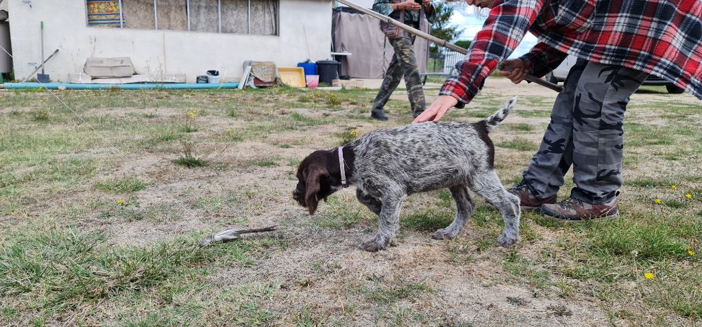 Publication : Du Domaine De Bussy Auteur : MAGALI BRIDET