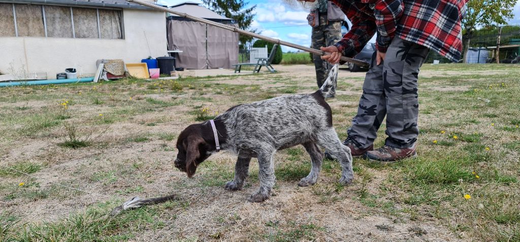Publication : Du Domaine De Bussy Auteur : MAGALI BRIDET