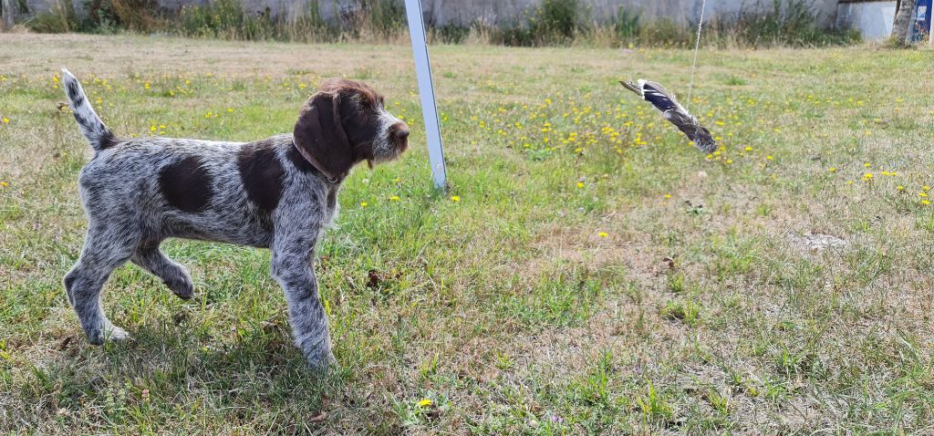 Publication : Du Domaine De Bussy Auteur : MAGALI BRIDET