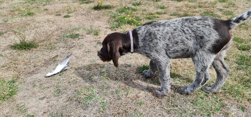 Publication : Du Domaine De Bussy Auteur : MAGALI BRIDET