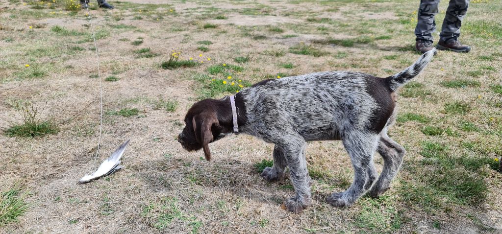 Publication : Du Domaine De Bussy Auteur : MAGALI BRIDET