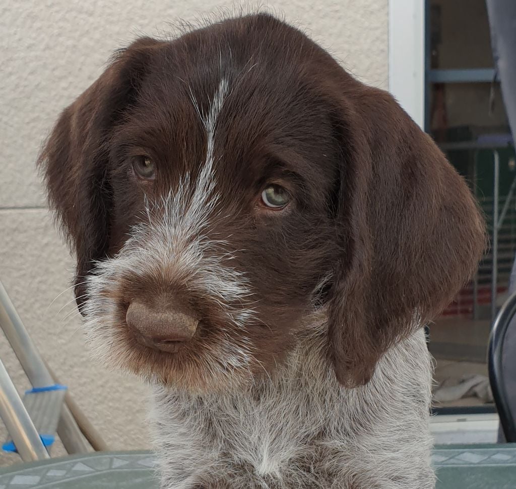 Publication : Du Domaine De Bussy Auteur : MAGALI BRIDET