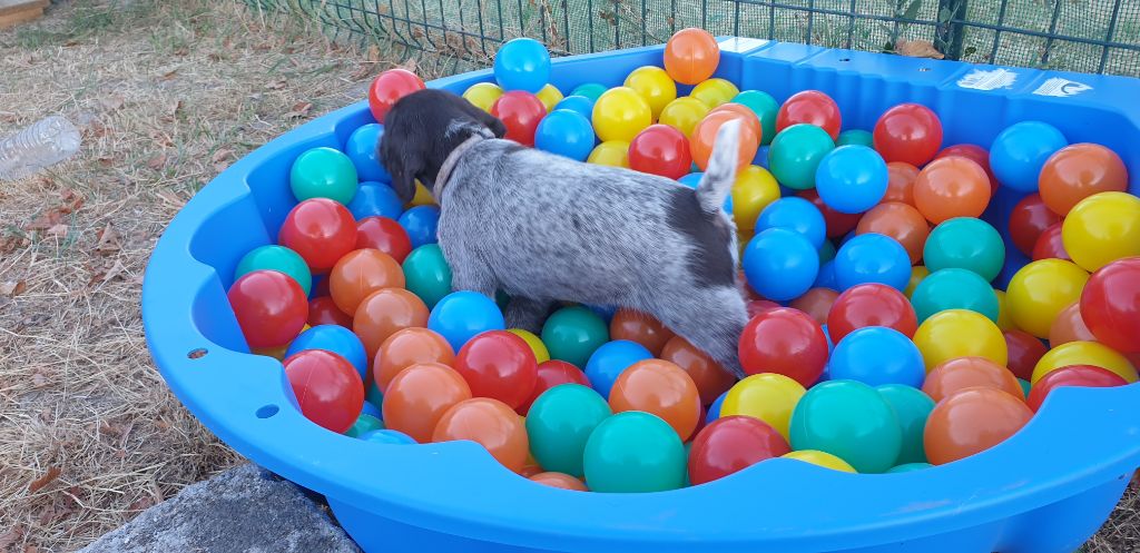 Publication : Du Domaine De Bussy Auteur : MAGALI BRIDET