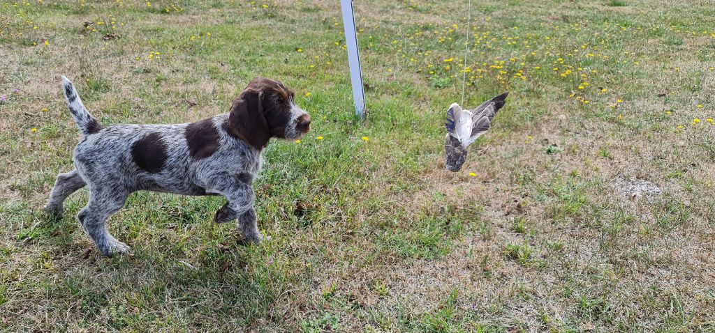 Publication : Du Domaine De Bussy Auteur : MAGALI BRIDET