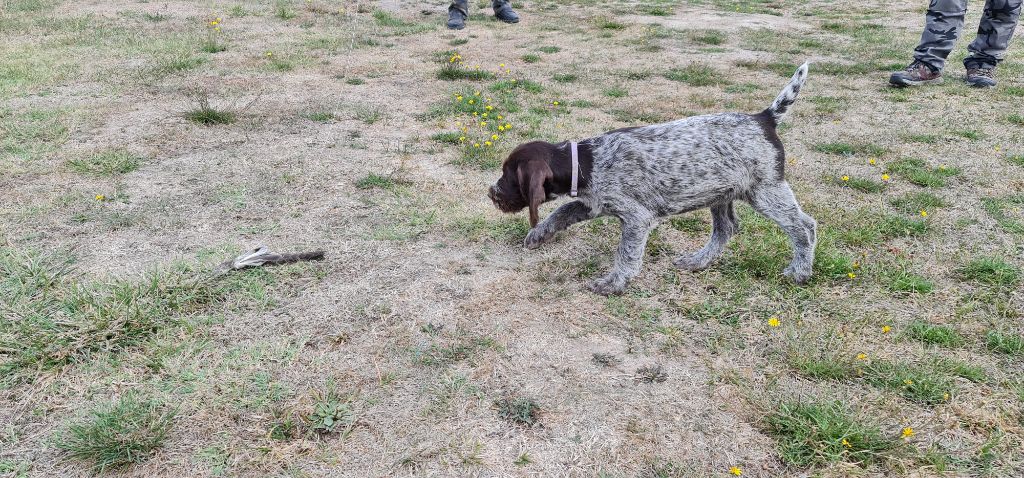 Publication : Du Domaine De Bussy Auteur : MAGALI BRIDET